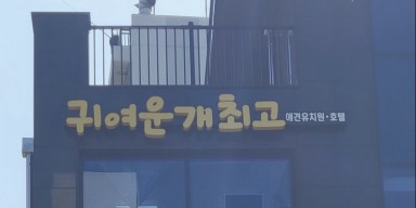 귀여운개최고 도봉구간판